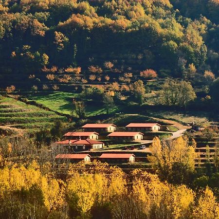 Apartamentos Rurales La Vega Del Jerte Exteriér fotografie