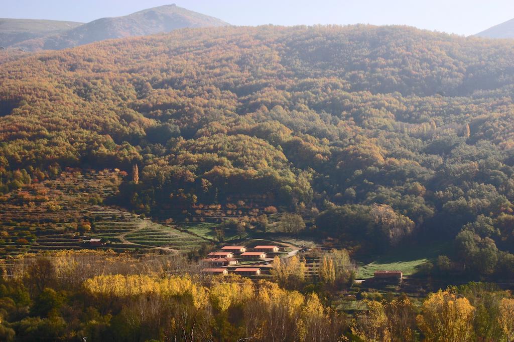 Apartamentos Rurales La Vega Del Jerte Exteriér fotografie